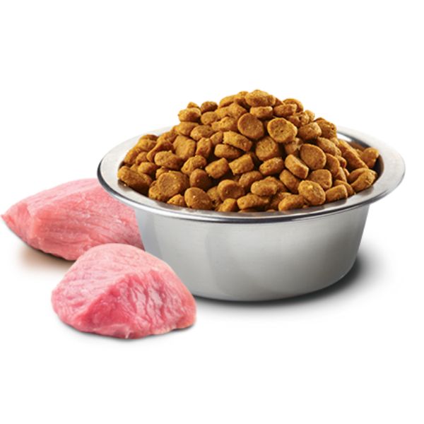 Bauzaar Farmina N&D Grain Free Pumpkin Adult Medium/Maxi Agnello e Mirtillo Vendita Calda