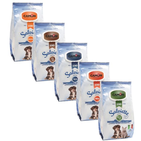 Bauzaar Salviette Detergenti Camon