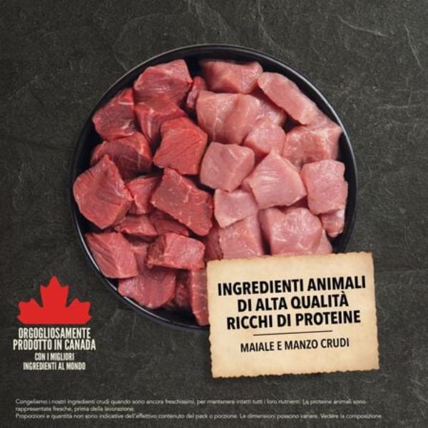 Bauzaar Acana Classic Red Meat 2025