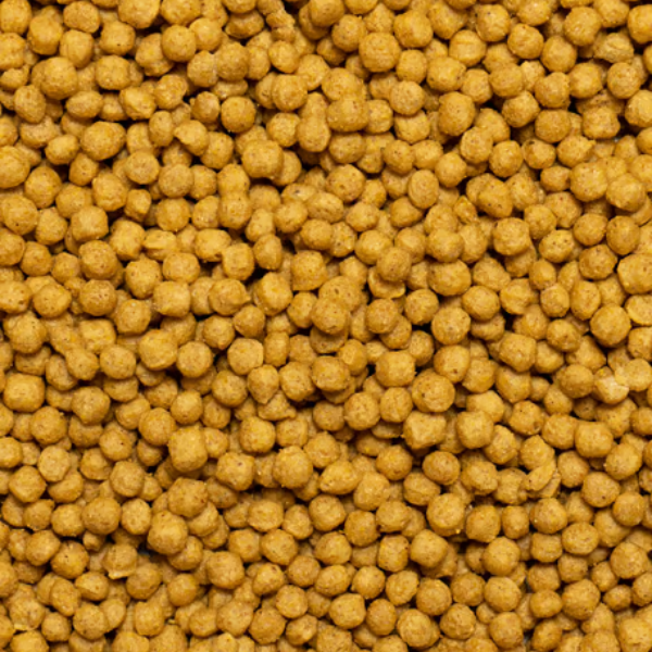Bauzaar Psittacus Alimento Formula Mantenimento Mini 2025