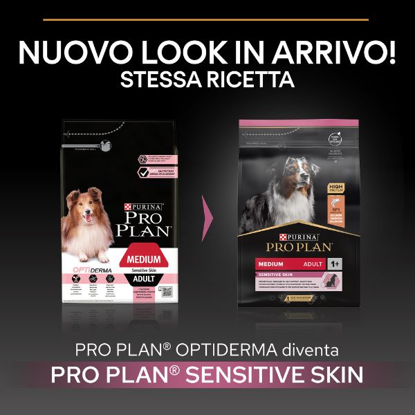 Bauzaar Purina Pro Plan Sensitive Skin Medium Adult Crocchette per Cane Salmone Shopping Online