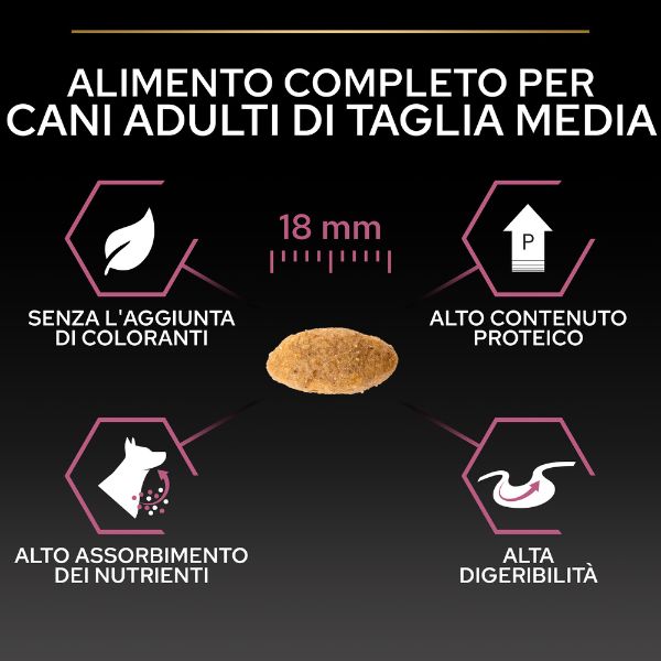 Bauzaar Purina Pro Plan Sensitive Skin Medium Adult Crocchette per Cane Salmone Shopping Online