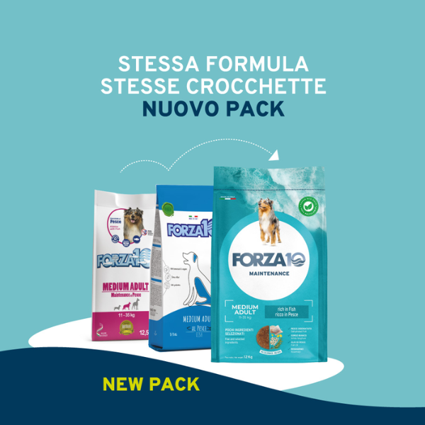 Bauzaar Forza10 Maintenance Medium Adult al Pesce Prezzo Ridotto