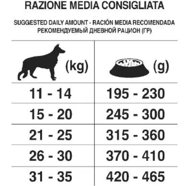 Bauzaar Forza10 Maintenance Medium Adult al Pesce Prezzo Ridotto