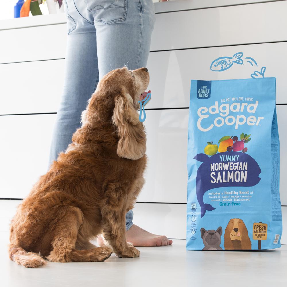 Bauzaar Edgard & Cooper Adult Grain Free Salmone Novità