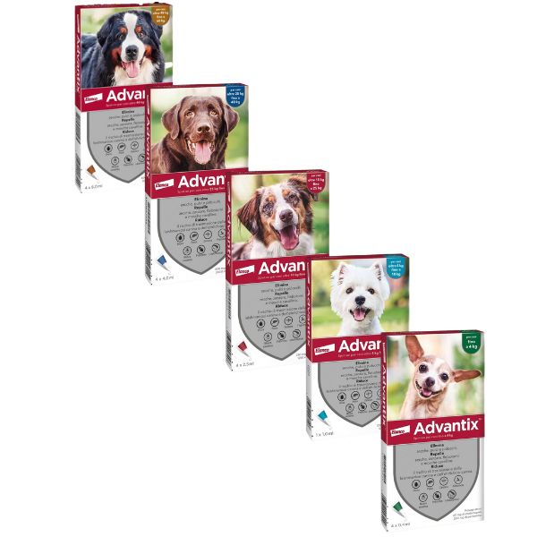 Bauzaar Advantix antiparassitario Spot-On per cani Presa