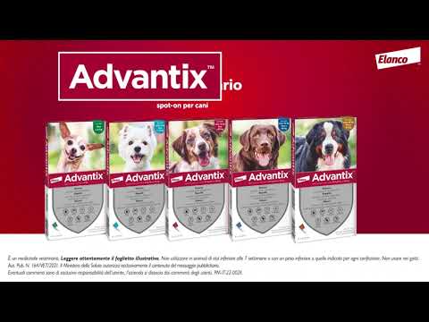 Bauzaar Advantix antiparassitario Spot-On per cani Presa