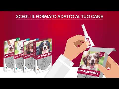 Bauzaar Advantix antiparassitario Spot-On per cani Presa