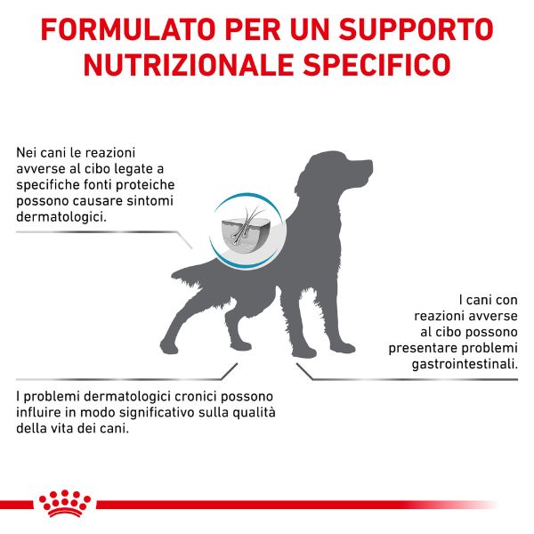 Bauzaar Royal Canin Hypoallergenic Cane Outlet