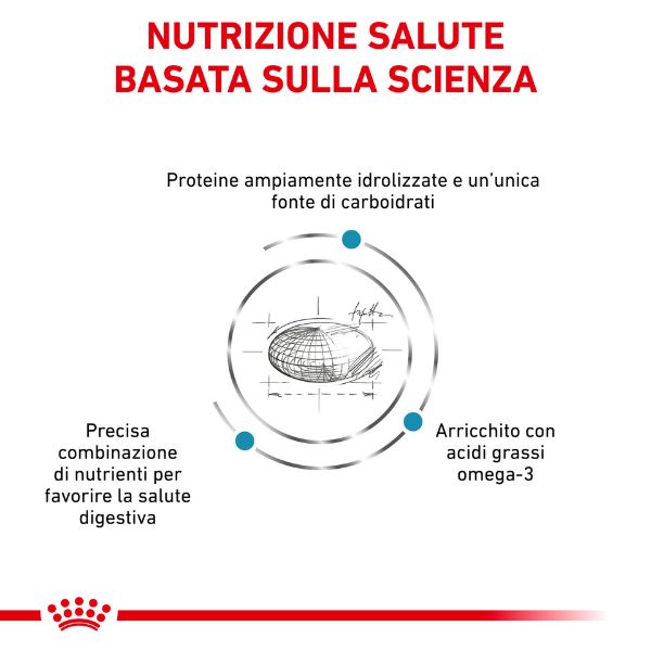 Bauzaar Royal Canin Hypoallergenic Cane Outlet