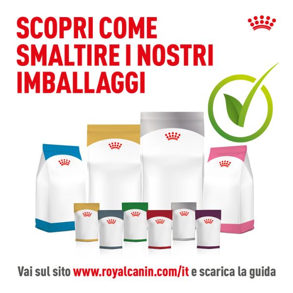 Bauzaar Royal Canin Medium Puppy Vendita Calda