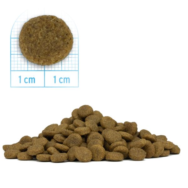 Bauzaar Forza10 MonoDiet Medium Adult Low Grain Hypoallergenic Pesce Soddisfazione Garantita