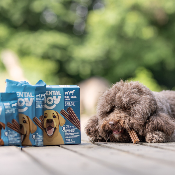 Bauzaar DentalJoy Dog Adult Medium/Large Snack Dentali Qualità Garantita