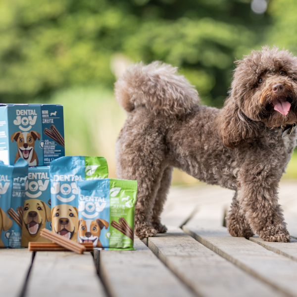 Bauzaar DentalJoy Dog Adult Medium/Large Snack Dentali Qualità Garantita