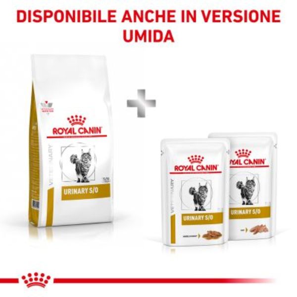 Bauzaar Royal Canin Urinary S/O Acquista Ora