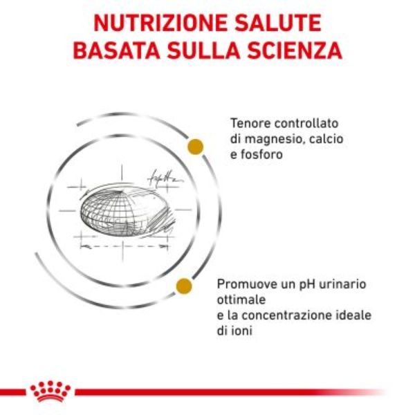 Bauzaar Royal Canin Urinary S/O Acquista Ora
