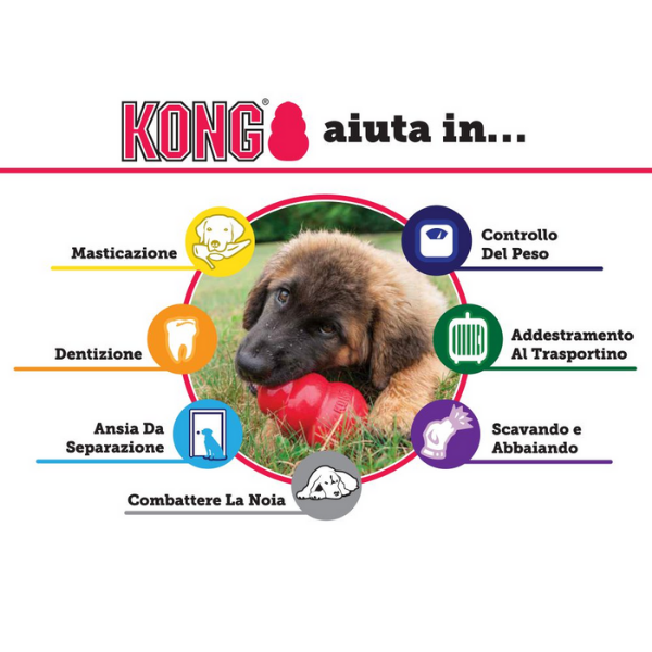 Bauzaar Kong Extreme Offerta migliore