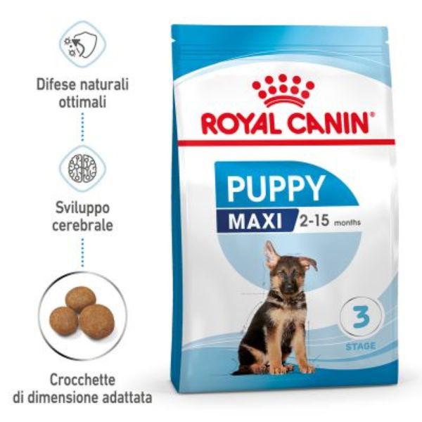 Bauzaar Royal Canin Maxi Puppy Junior Hotsell