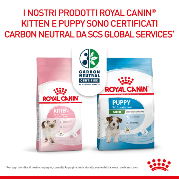 Bauzaar Royal Canin Maxi Puppy Junior Hotsell