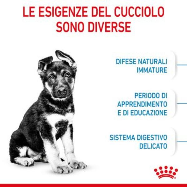 Bauzaar Royal Canin Maxi Puppy Junior Hotsell