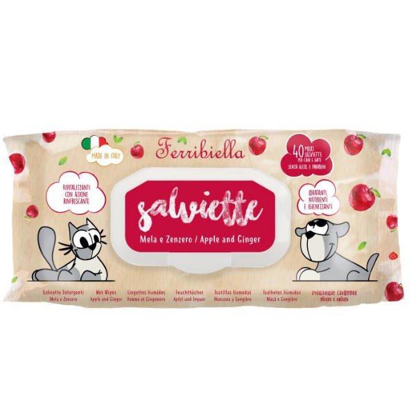Bauzaar Salviette Detergenti Ferribiella 40 pezzi Vendita Calda