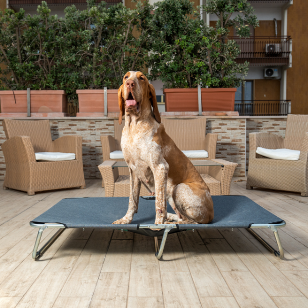 Bauzaar Brandina richiudibile per cani da esterni PetUp
