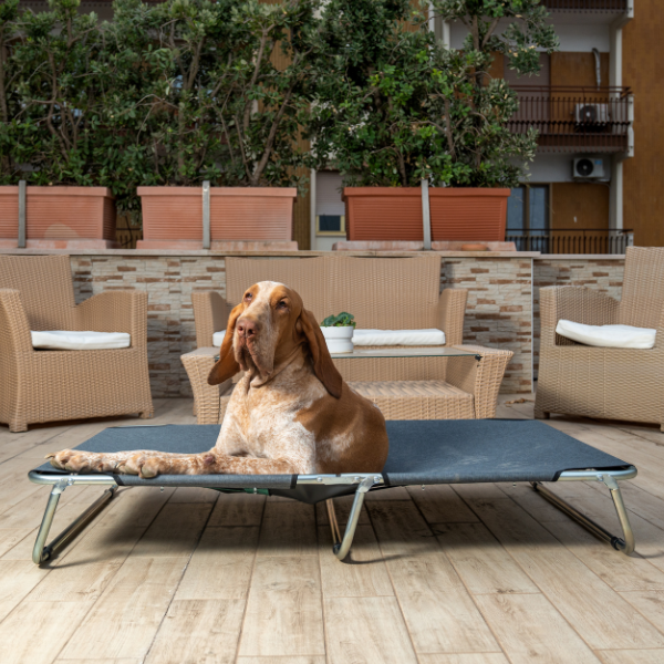 Bauzaar Brandina richiudibile per cani da esterni PetUp Italy