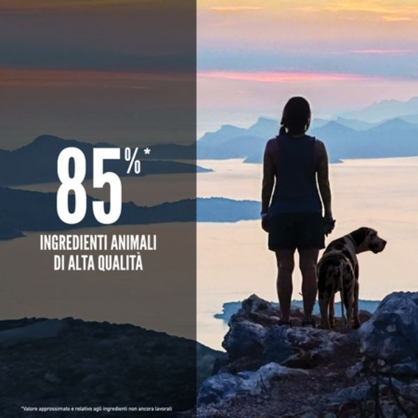 Bauzaar Orijen Six Fish Dog Food Nuovo