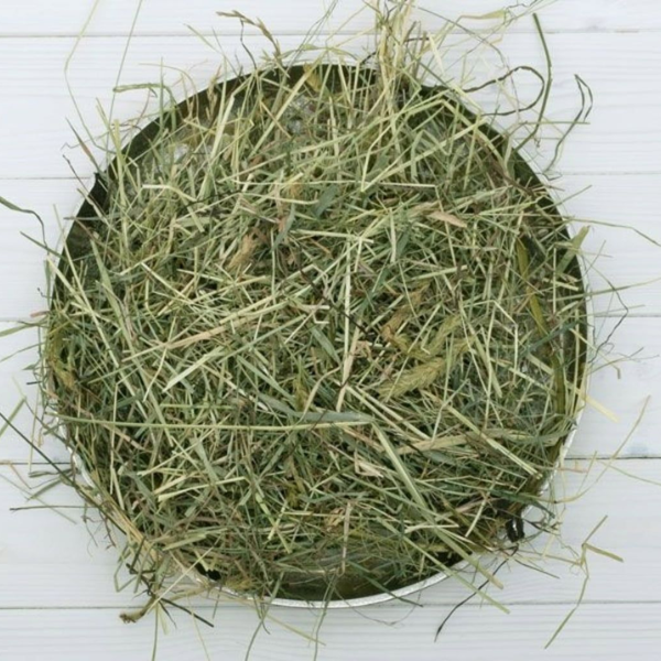 Bauzaar Bunny Fieno Nature 600 gr Vendita