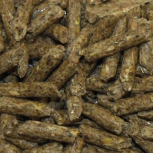 Bauzaar Croci Rabbit Roger Essential alimento Conigli Nani Convenienza