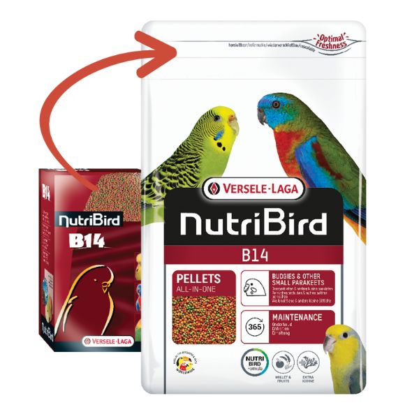 Bauzaar Versele Laga Nutribird B14 Parrocchetti Nuova