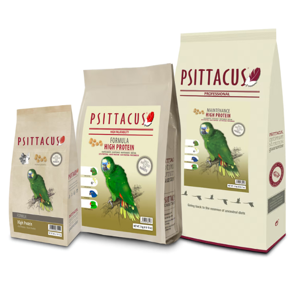 Bauzaar Psittacus Mantenimento Alta Proteina