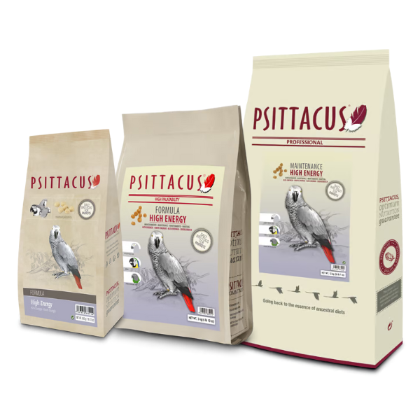 Bauzaar Psittacus Mantenimento Alta Energia