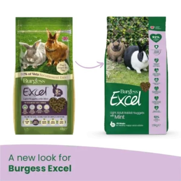 Bauzaar Burgess Excel Coniglio Light Novità
