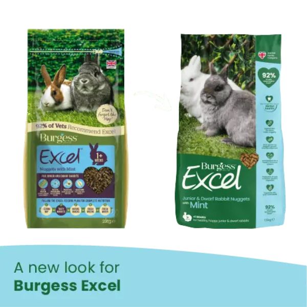 Bauzaar Burgess Excel Coniglio Junior Offerte
