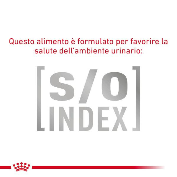 Bauzaar Royal Canin Gastrointestinal secco Feline Moda