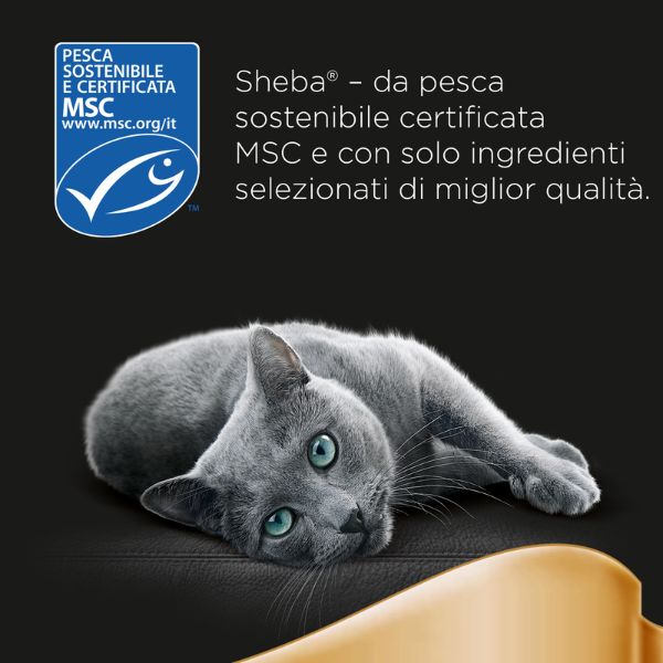 Bauzaar Sheba Mini Filets Selezione In Salsa Multipack In Linea