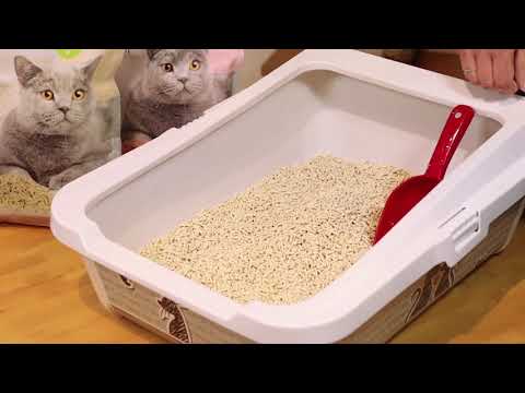 Bauzaar Cat&Rina Lettiera al Tofu Be Natural Italy