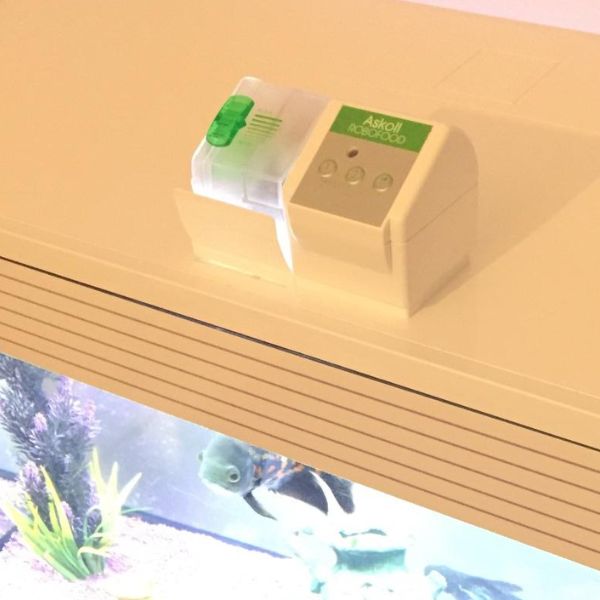Bauzaar Distributore automatico programmabile di cibo per pesci Robofood Askoll Prezzo Ridotto