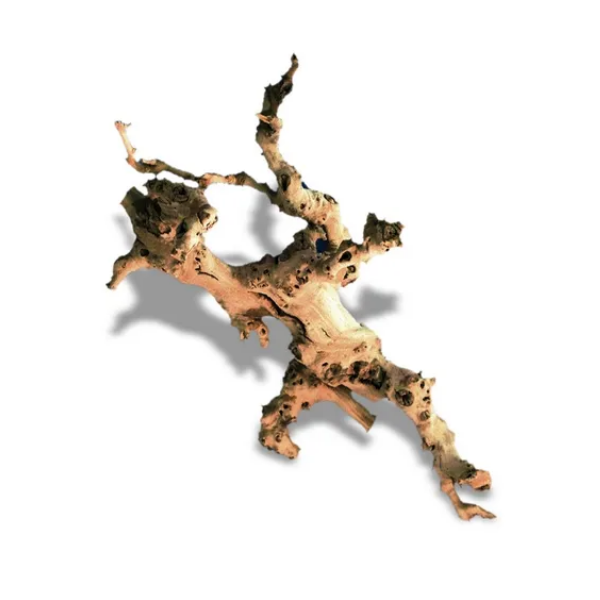 Bauzaar Legno di vite scortecciato decorativo Amtra