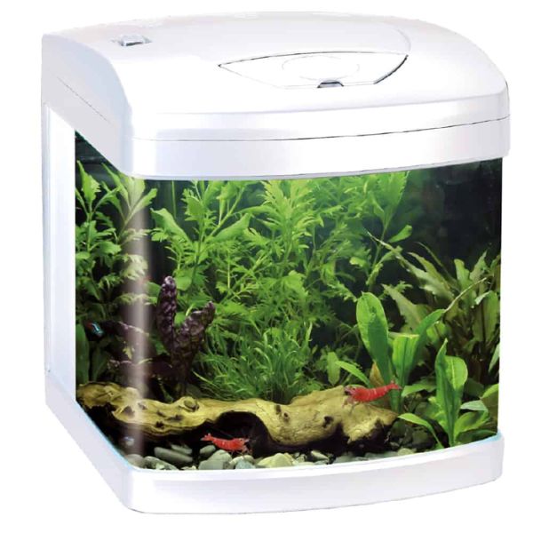 Bauzaar Acquario Xcube 26 Led Amtra