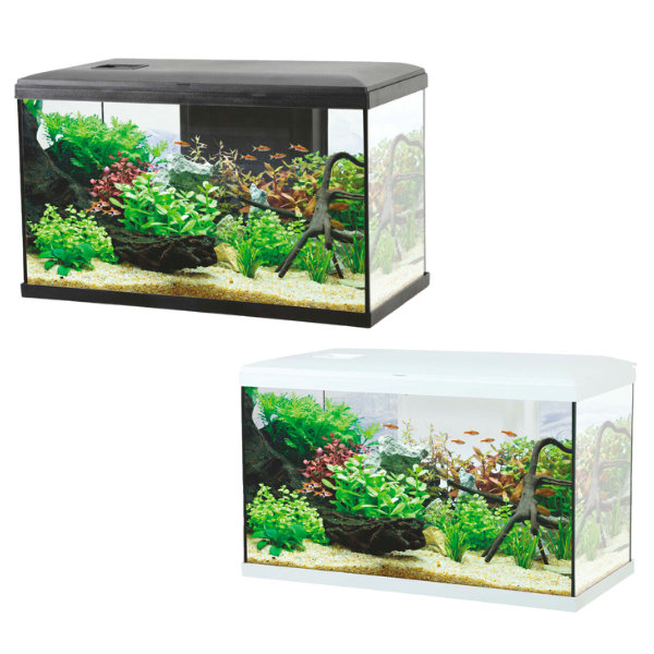 Bauzaar Acquario Ocean modello 60 Aqualovers
