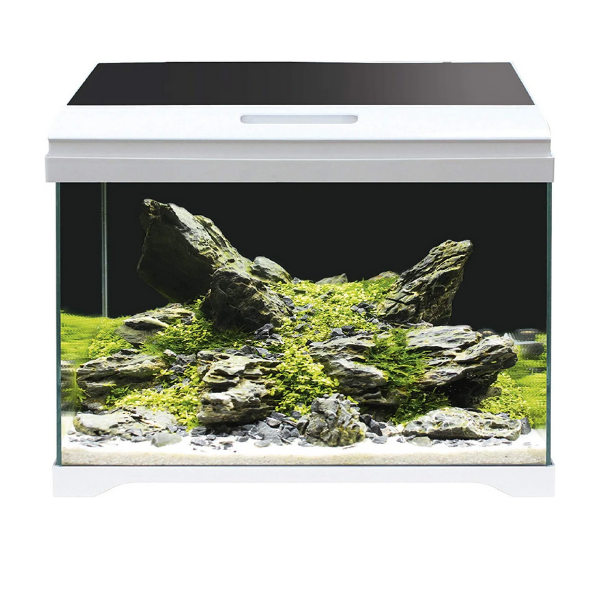 Bauzaar Acquario Modern Tank Amtra