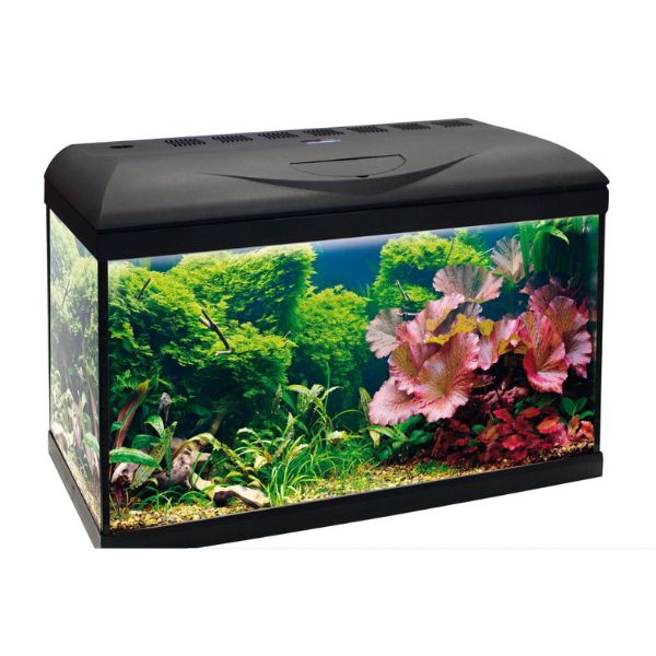 Bauzaar Acquario Basic Led Amtra