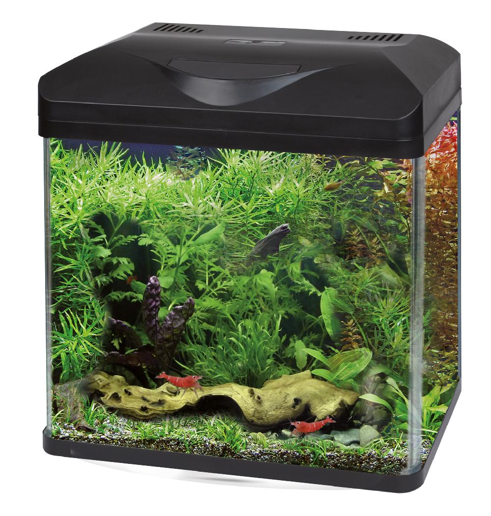 Bauzaar Acquario d'acqua dolce Laguna Led Amtra