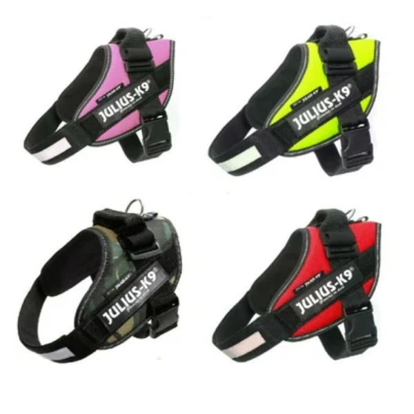 Bauzaar K9 Promozione Limitata