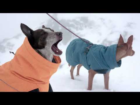 Bauzaar Expedition Parka Hurtta Sottocosto