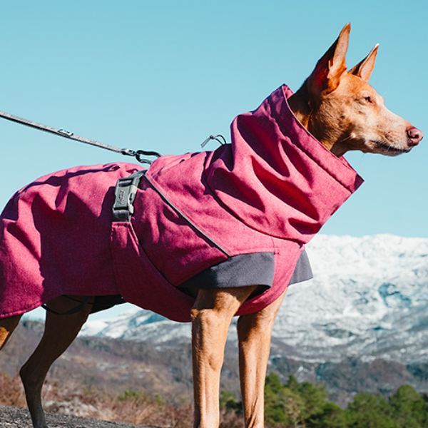 Bauzaar Expedition Parka Hurtta Sottocosto