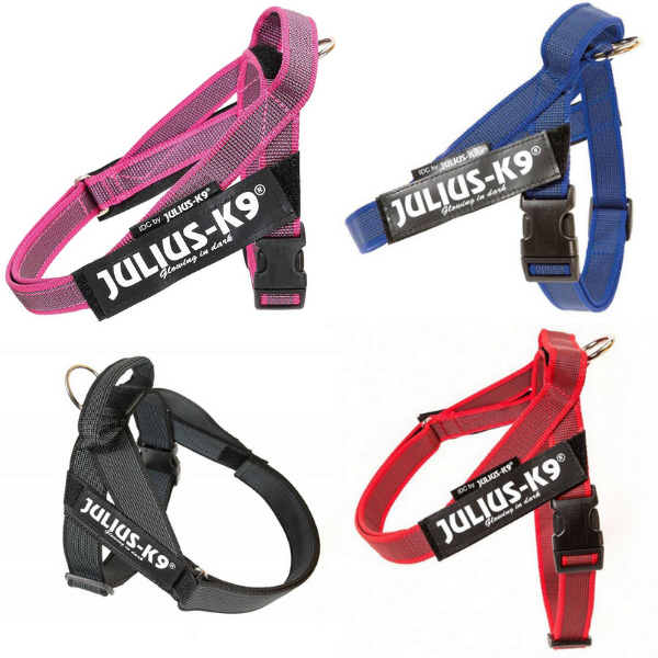 Bauzaar Pettorina Nylon Norvegese Julius-K9