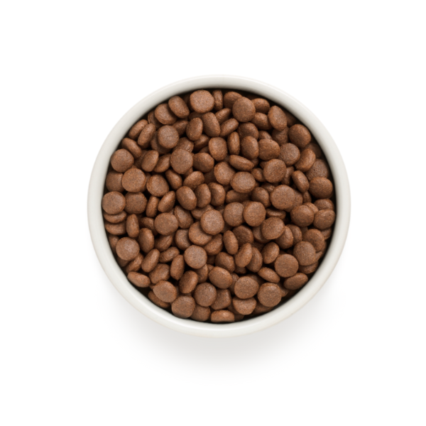 Bauzaar Grandorf Dog Adult Medium/Maxi Grain Free Anatra e Tacchino In Vendita